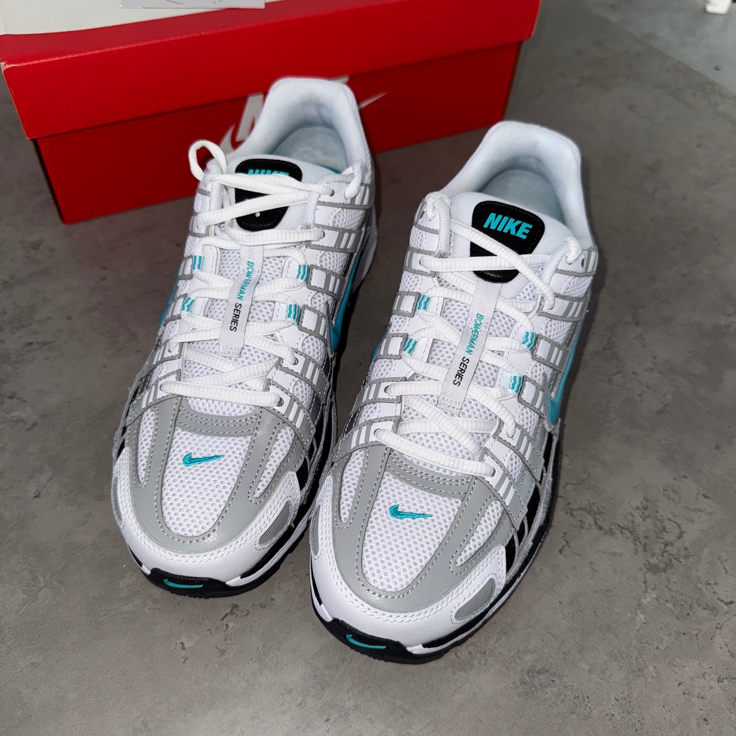 Nike Dusty Cactus P6000 Trainers
