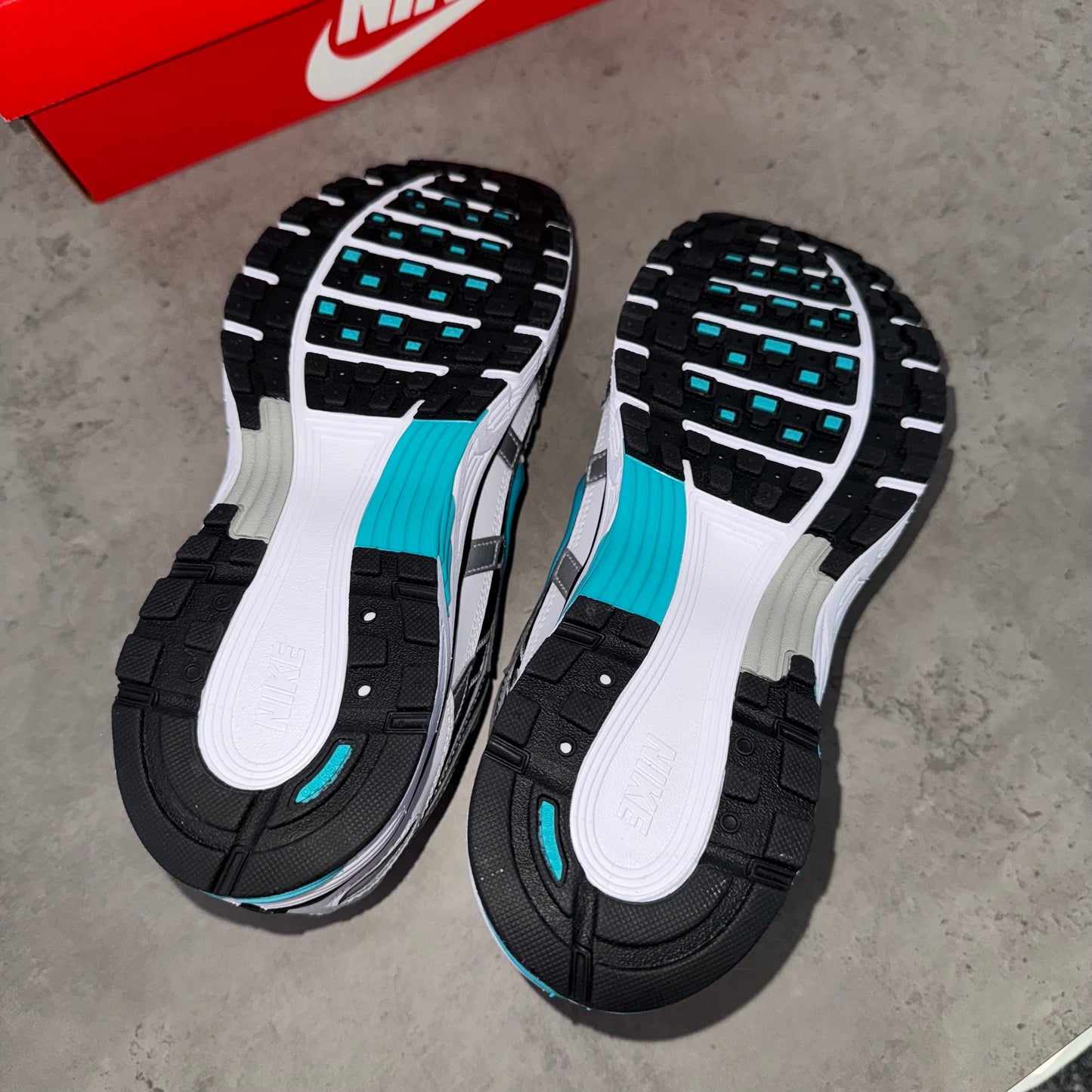 Nike Dusty Cactus P6000 Trainers