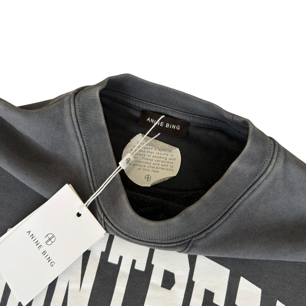 Annie Bing Montreal Grey Dye Sweatshirt