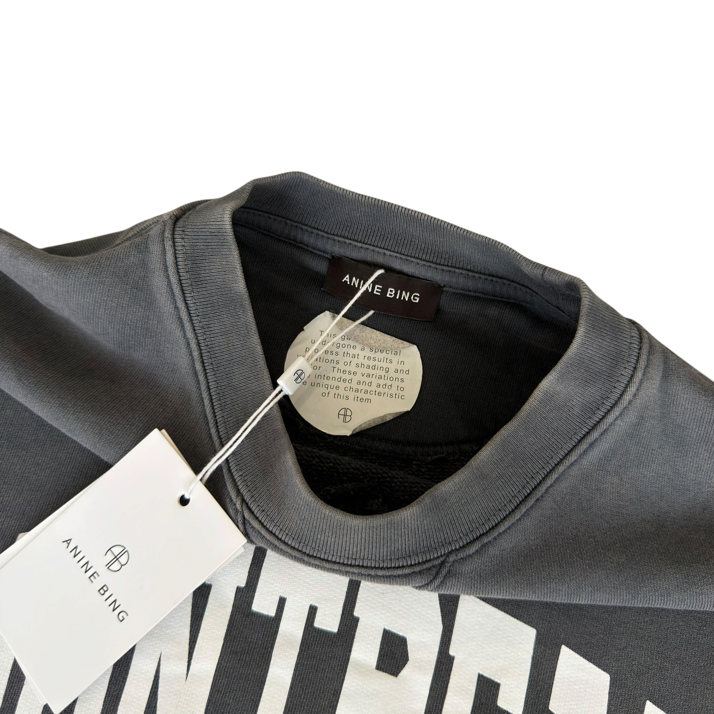 Annie Bing Montreal Grey Dye Sweatshirt