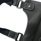 Dior x Kaws Messenger Bag