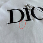 Dior x Judy Blame Pin Logo T Shirt