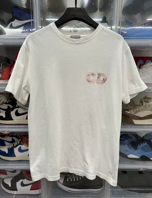 Dior Daniel Arsham White T Shirt