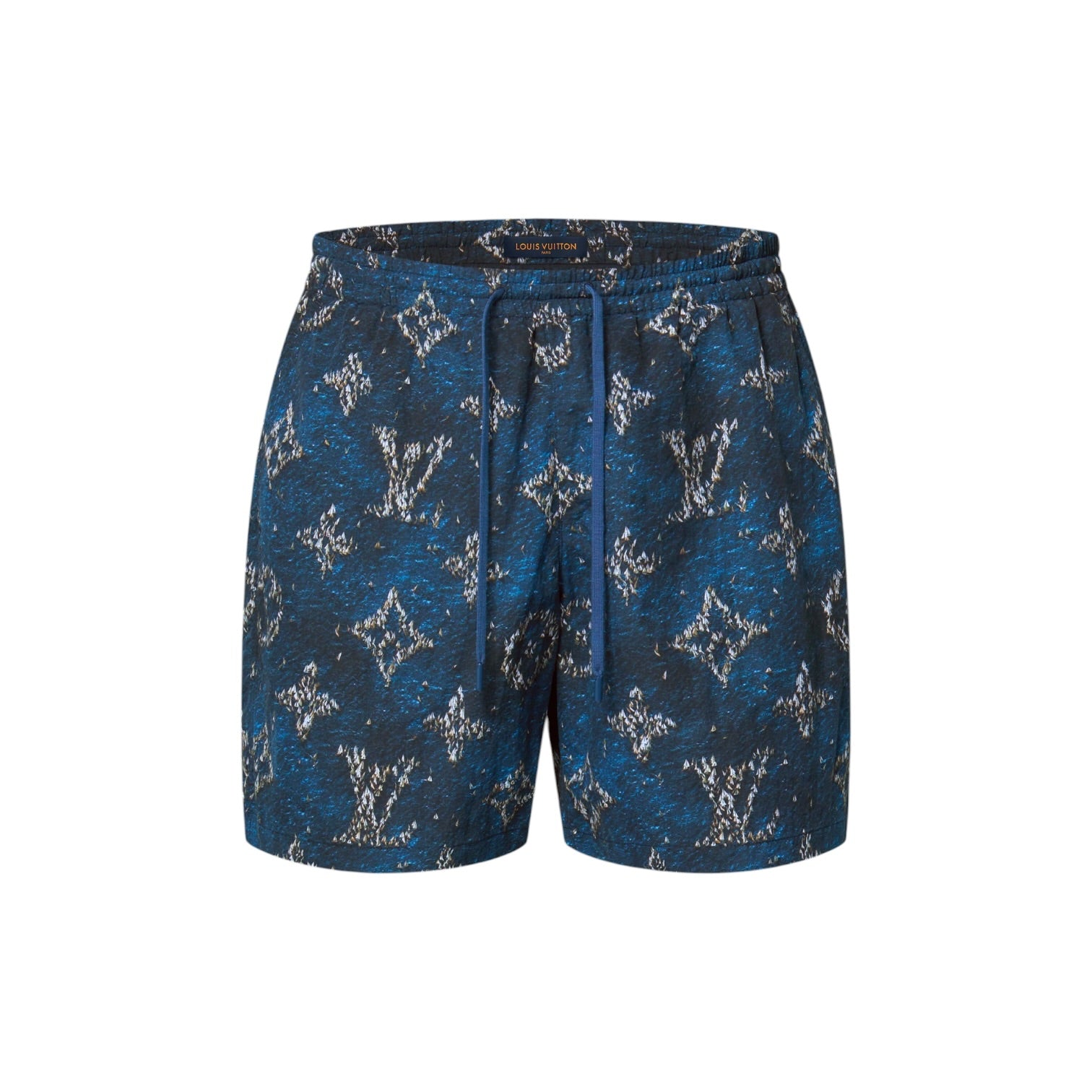 Louis Vuitton Printed Monogram Water Shorts