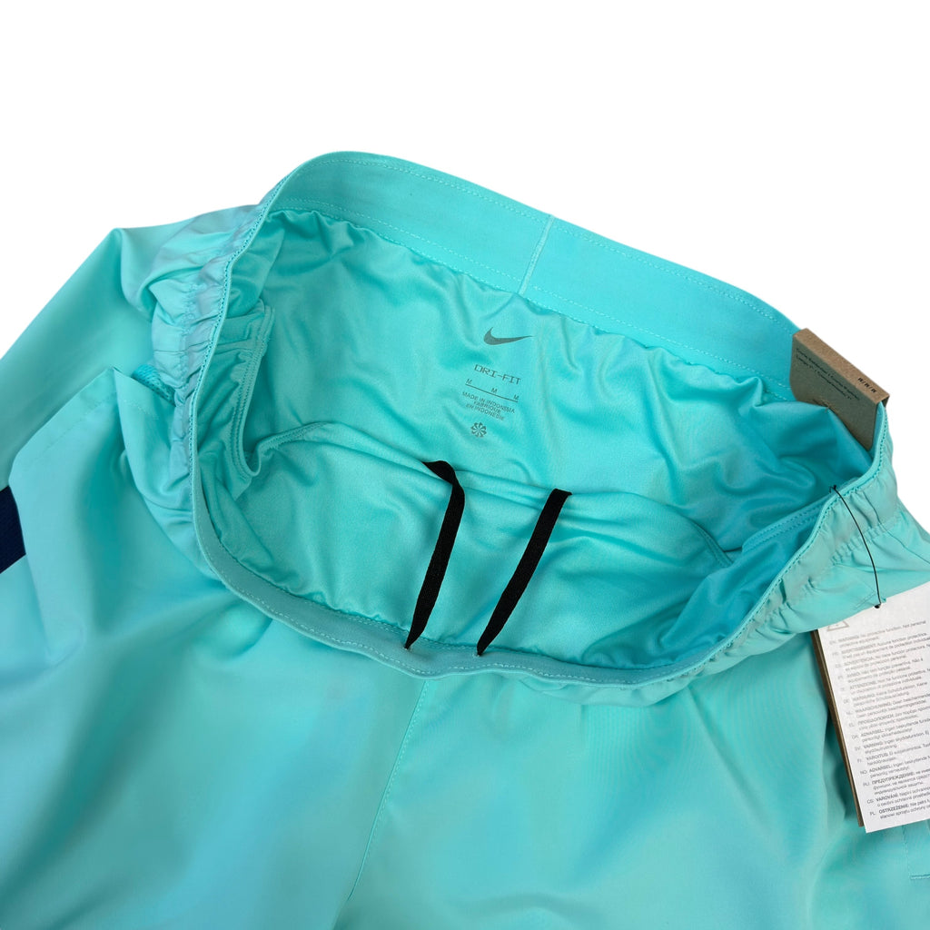 Nike Mint Green Challenger Shorts