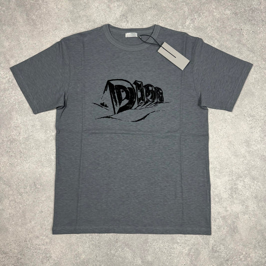 Dior Grey Graffiti T Shirt
