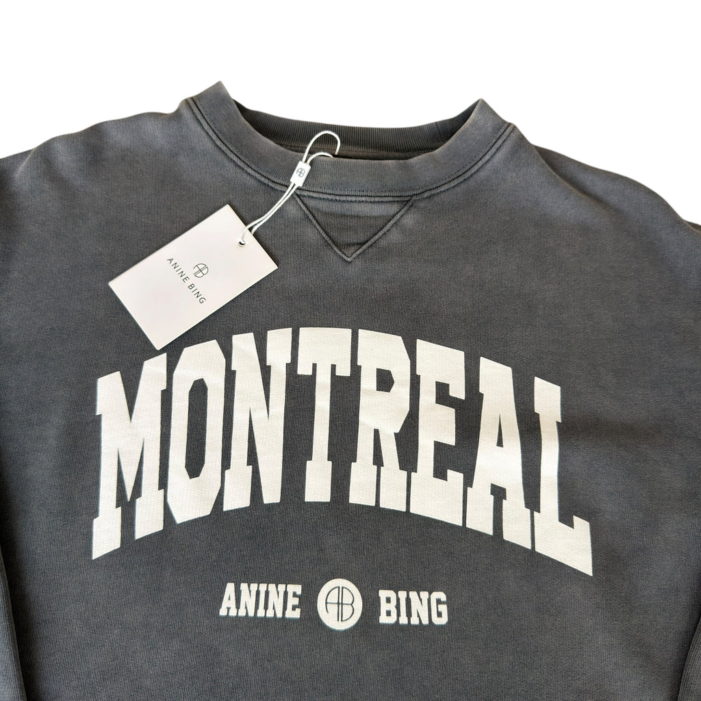 Annie Bing Montreal Grey Dye Sweatshirt