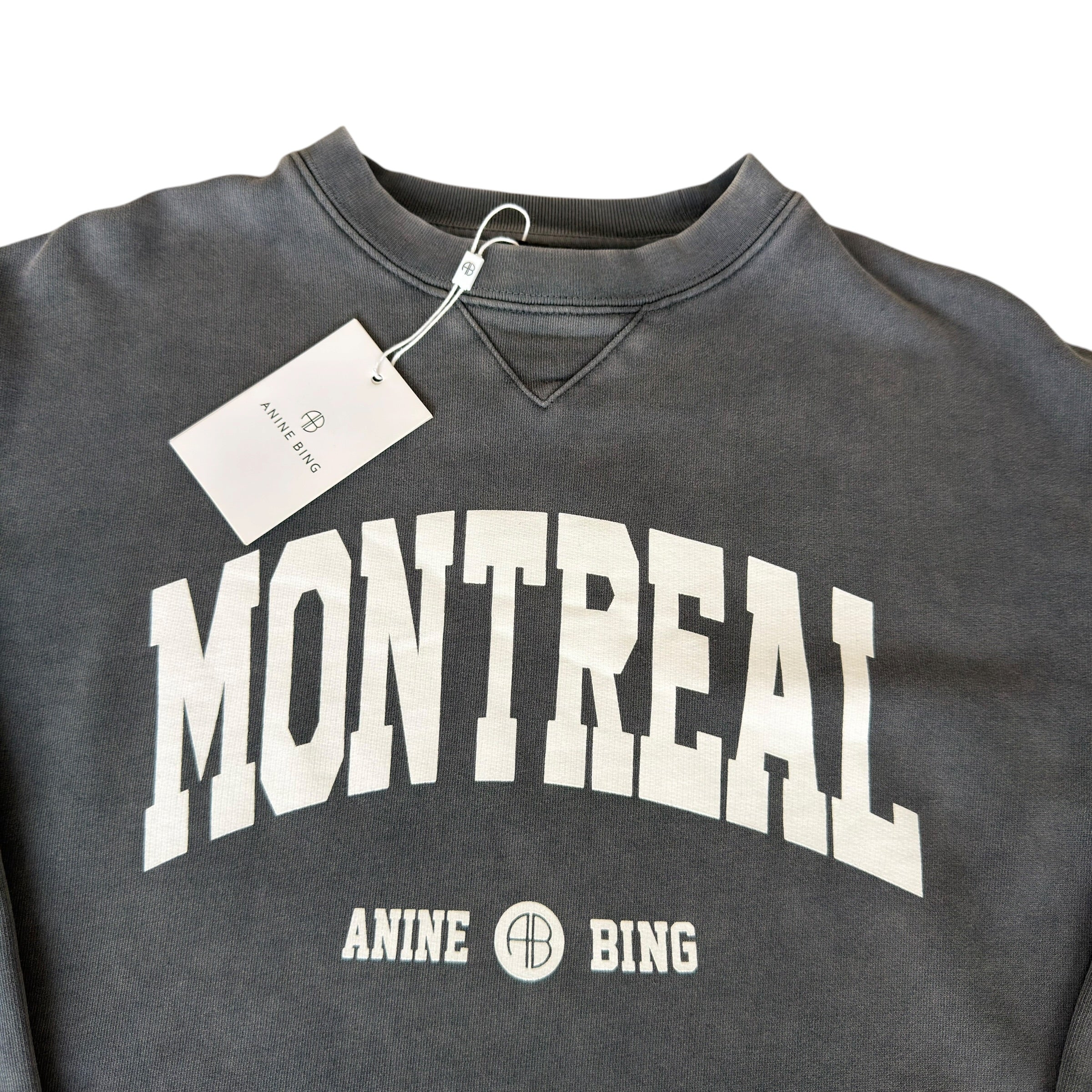 Annie Bing Montreal Grey Dye Sweatshirt