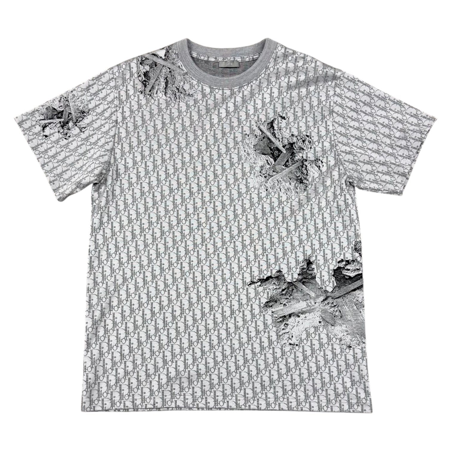 Dior x Daniel Arsham Monogram T Shirt