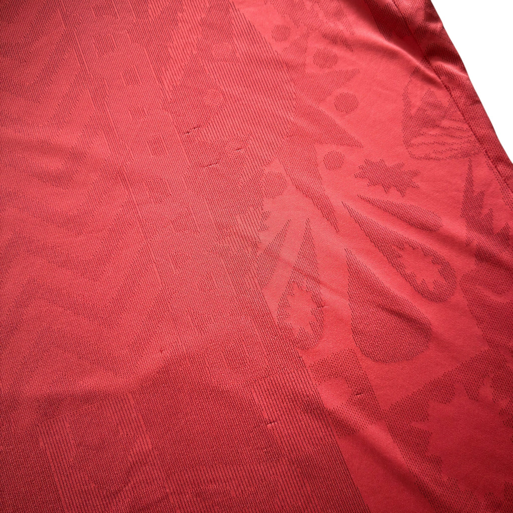 Nike Wild Run Red Tokyo Miler T Shirt