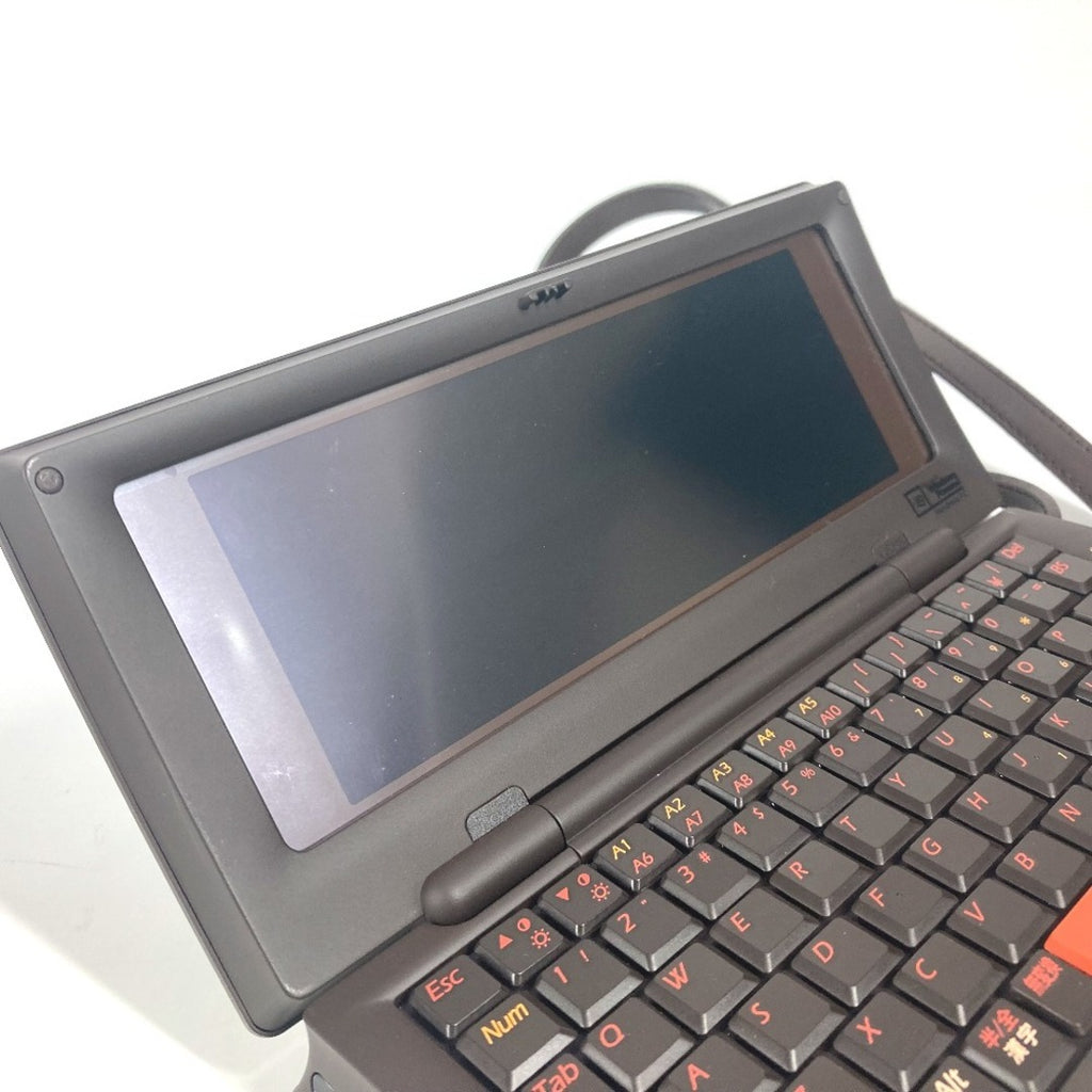 Louis Vuitton Staff Computer Bag (PRE ORDER)